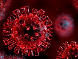 از ویروس کرونا چه خبر؟
